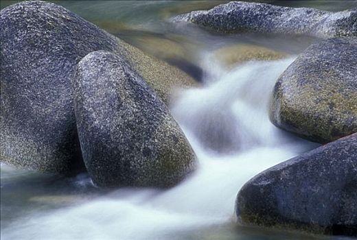 河,流动,石头,国家森林,华盛顿,美国