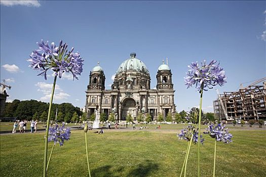 花,柏林大教堂,柏林,德国