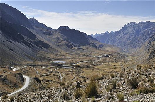 风景,安第斯山,高原,玻利维亚,南美