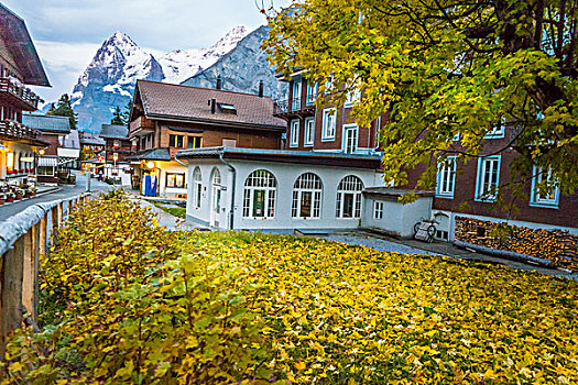 房子,小,乡村,靠近,山,瑞士