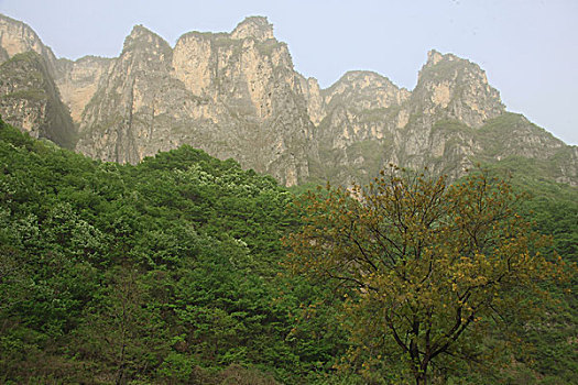 中国,河南,云台山,青龙峡