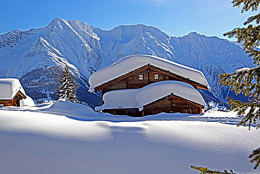 冬季风景,积雪,木房子,背影,阿莱奇地区,瓦莱,瑞士,欧洲