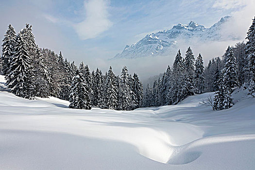 景色,山,高,雾,雪,瑞士,欧洲