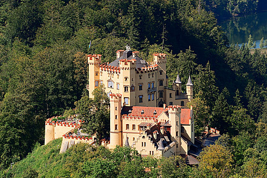 城堡,旧天鹅堡,史旺高,巴伐利亚,德国,欧洲