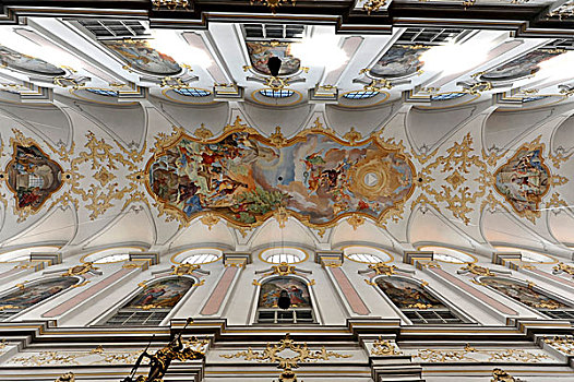天花板,壁画,教堂,慕尼黑,巴伐利亚,德国,欧洲
