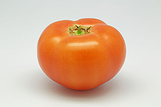 西红柿,一个