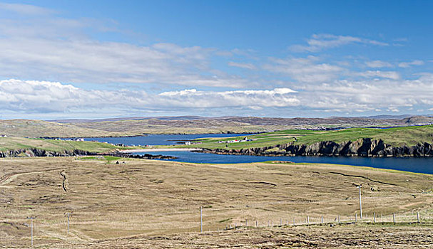 风景,湾,设得兰群岛,苏格兰,大幅,尺寸