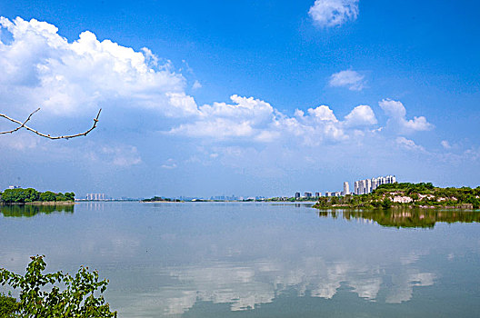 蔡甸后官湖