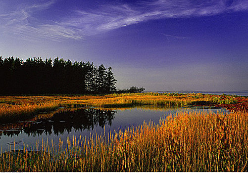 俯视,湿地,爱德华王子岛,加拿大