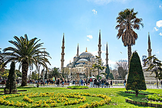 蓝色清真寺,苏丹艾哈迈德清真寺,清真寺,花,苏丹,公园,藍色清真寺,欧洲,局部,伊斯坦布尔,土耳其,亚洲