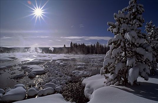 冬季风景,黄石国家公园,怀俄明,美国