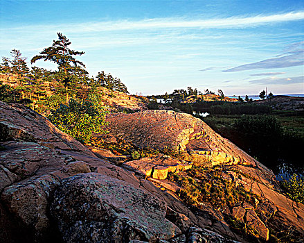 风吹,树,石头,乔治亚湾,嘴,河,基拉尼省立公园,安大略省,加拿大