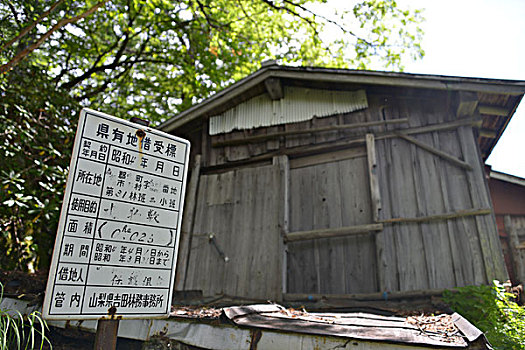 富士山,车站,远足,日本