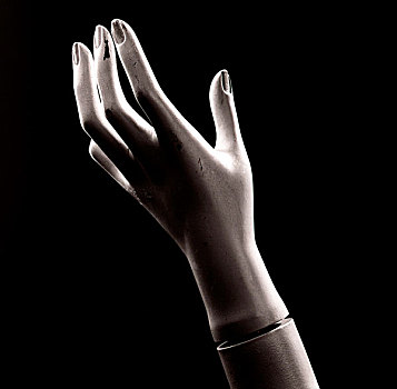 手,人体模型