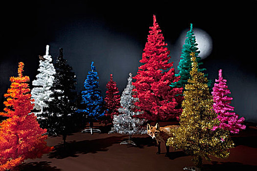 多样,彩色,圣诞树,狐狸