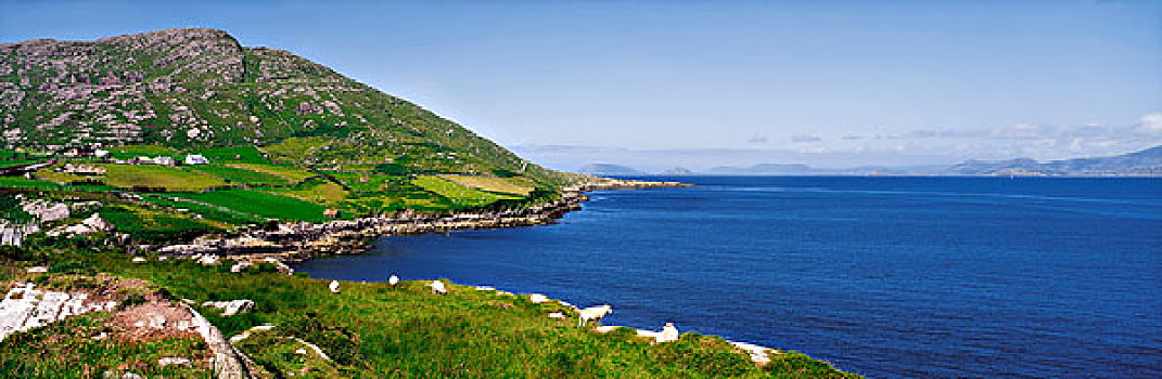 半岛,爱尔兰,大西洋,靠近,克俐环,远景