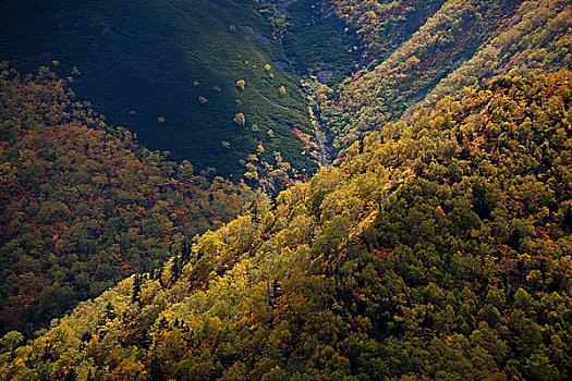 秋色,山