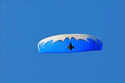 滑翔伞,飞行,蓝色,白色,蓝天,省,意大利,欧洲