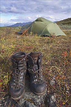 旧式,远足鞋,帐蓬,路线,山峦,克卢恩国家公园,育空地区,加拿大,北美