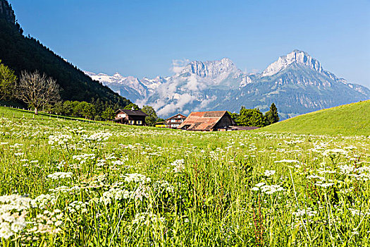 高山牧场,正面,农场,攀升,阿尔卑斯山,瑞士