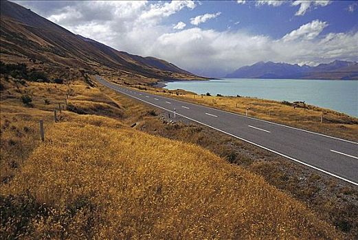 街道,道路,普卡基湖,南岛,新西兰