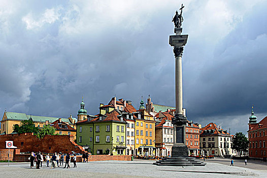 城堡广场,柱子,华沙,省,波兰,欧洲
