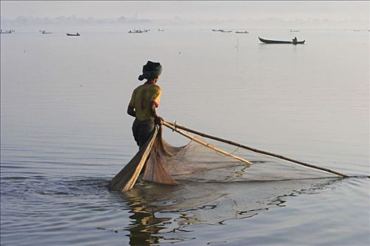 缅甸,曼德勒,阿马拉布拉,湖,钓鱼,男人,靠近