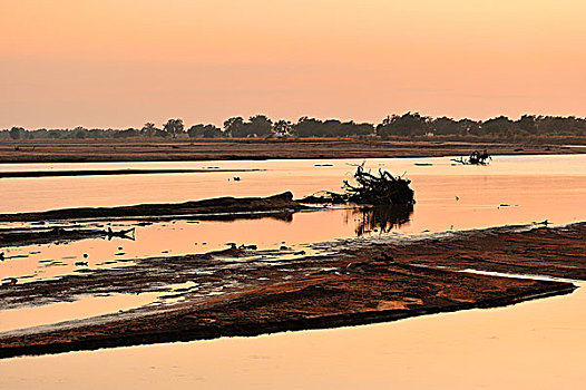 早晨,河,南卢安瓜国家公园,赞比亚,非洲