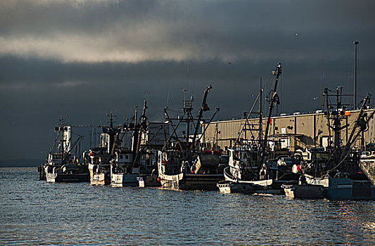 渔业,船,码头,卸下,抓住,阿斯托里亚,俄勒冈,美国