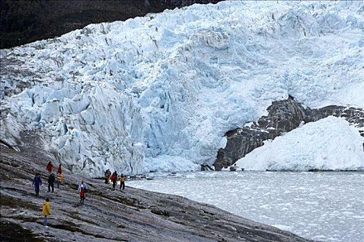 游客,看,冰河,智利,巴塔哥尼亚