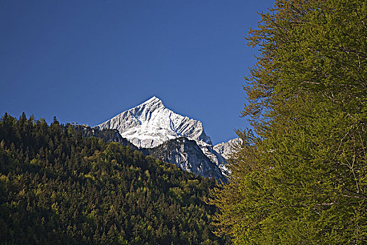 阿尔卑斯峰,山,加米施帕藤基兴,巴伐利亚,德国