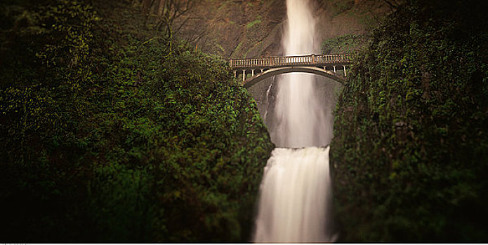 桥,瀑布,叶子,哥伦比亚河峡谷,俄勒冈,美国