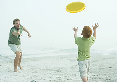 父子,投掷,飞盘,海滩