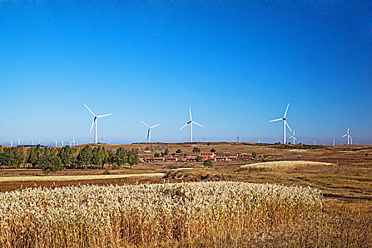 http://www.qunran.cn/html/36d4299921.html