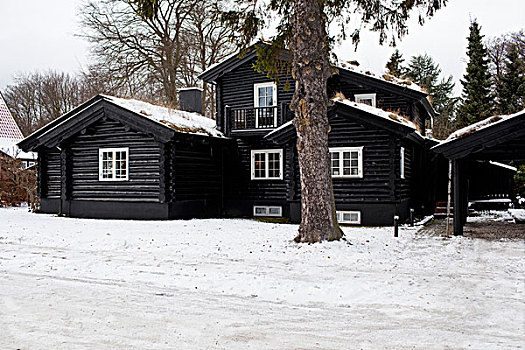 冬天,木房子,雪中,哥本哈根,丹麦