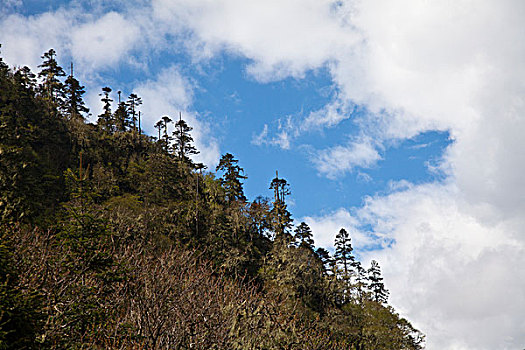 林芝,南伊沟风景区,珞巴族,西藏