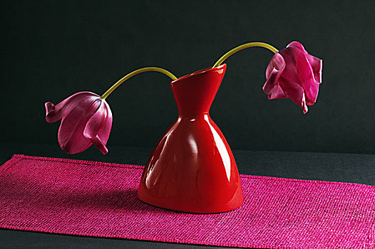 粉色,郁金香,花瓶,黑色背景