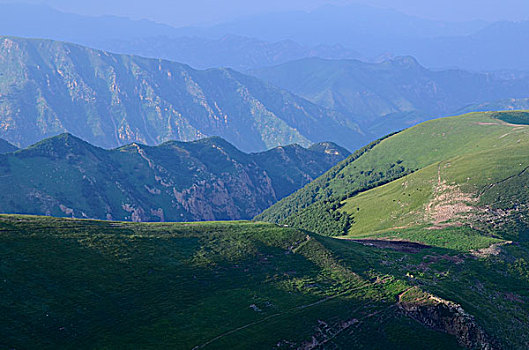 茶山夏天