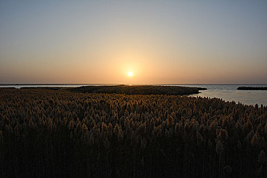 居延海