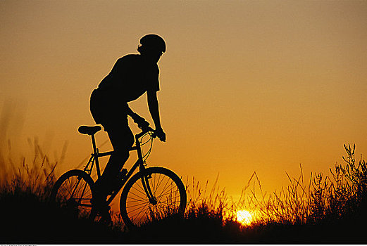 剪影,人,骑,自行车,日落