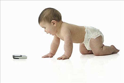 婴儿,爬行,手机