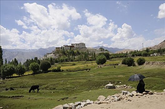 绿洲,寺院,北印度,印度,喜马拉雅山,亚洲