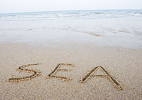 文字,海洋,书写,沙子,海滩