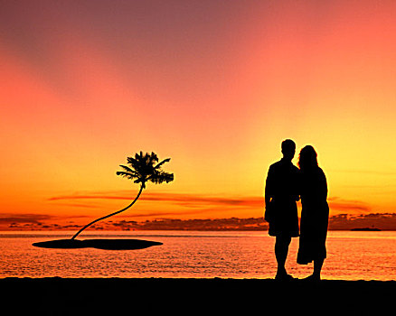 伴侣,热带海岛,棕榈树,日落