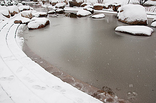 雪后冰冻的水池
