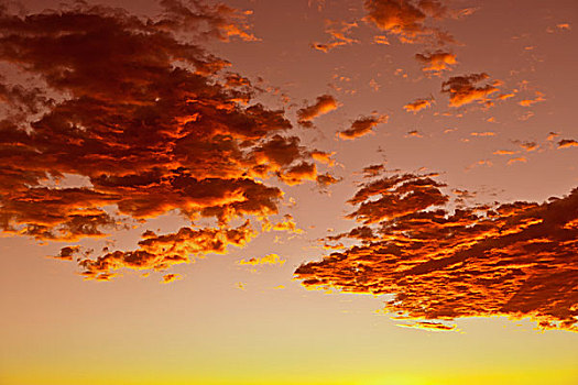 印象深刻,日落,荒芜,亚利桑那,金色,云