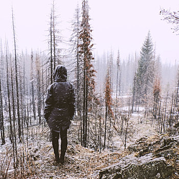 女人,站立,树林,冬天,俄罗斯