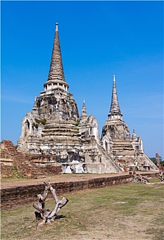 寺院,大城府,泰国