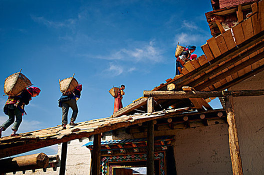 藏族老房子,旧建筑,搬运工,小巷,街道,西藏,中国,农村,乡村