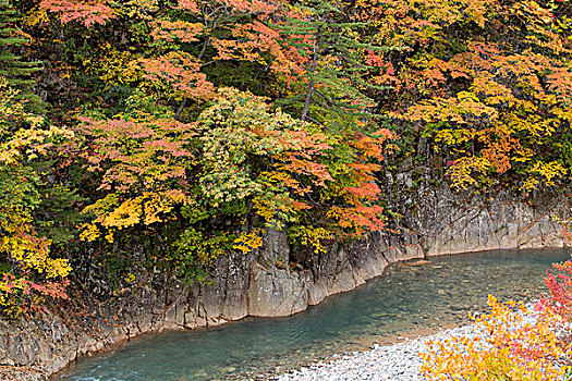 山谷,秋叶